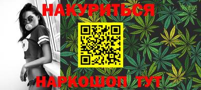 гидропоника Краснознаменск